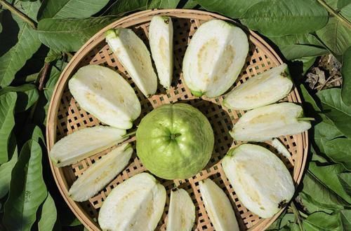  白送|维C是柑橘的8倍，以前白送都没人要，如今2元一个很抢手