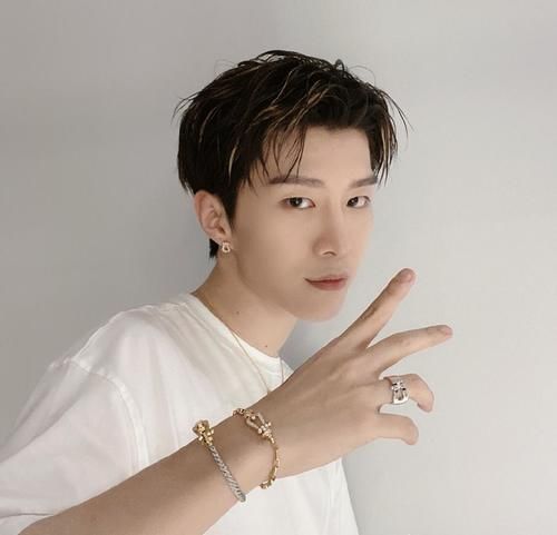 倪妮|眼光高！范丞丞自曝理想型女生是倪妮，和姐姐范冰冰都是气质型