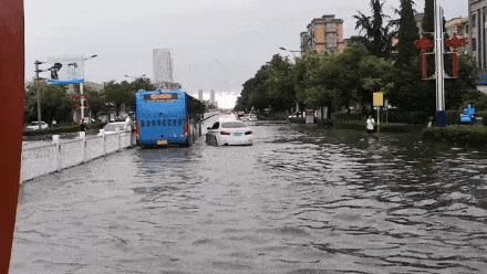 道路积水|山东多地暴雨！潍坊昨晚这里下的最大