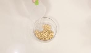  倒入|【白露豆浆】一天一碗白露豆浆，健脾益胃不费神。