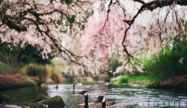 季节|人这一生,最难活出自己的季节