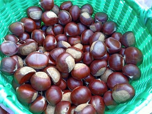 最快|剥板栗最快的方法,2秒一个,颗颗完整,轻轻松松1大盘