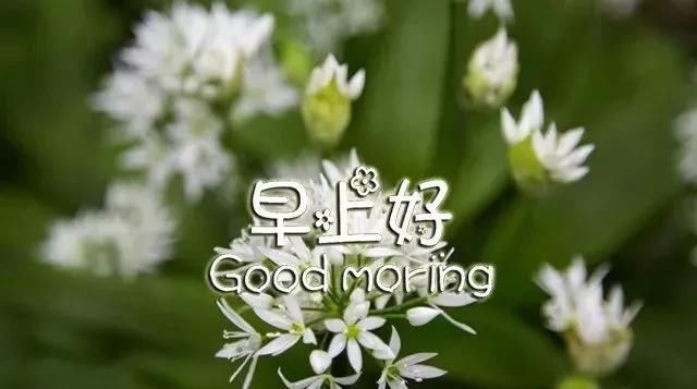  昨天|昨天，属于过去；明天，属于未来；今天，加倍珍惜，早安