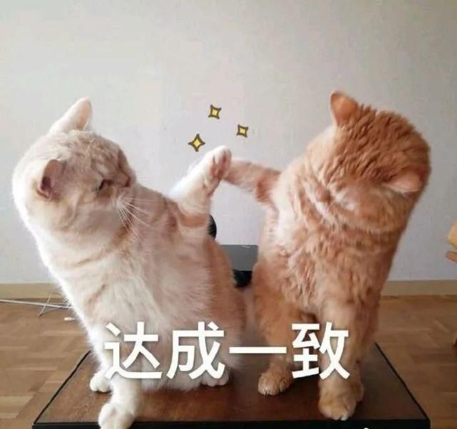 出入口|8号线一期三座车站出入口公布!直通图书馆、商场、小区
