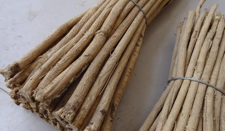 健康|健康内行常吃1物,女性没事吃一些,助您提气补血,留住青春