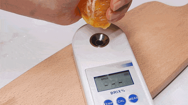 爆汁|日销10W箱的超爽“爆汁橙”，甜而多汁，入口即化，全网卖疯了！