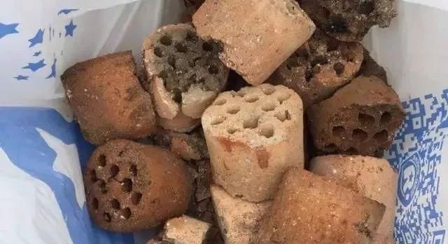 枝头|盆里扔2样东西,养花10年不烂根,叶子油光瓦亮,花苞挂满枝头!