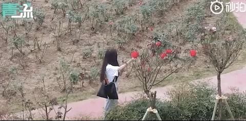 溧水|溧水城管小姐姐又又又来了！这次竟然帮忙找厕所？