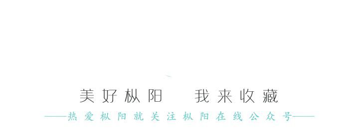  反滤铺盖|必看 | 堤防抢险技术