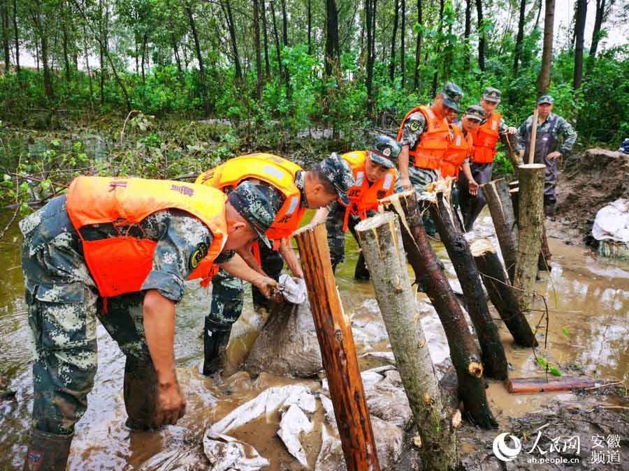 总队|武警安徽总队机动支队：兵分多路 抗洪抢险（图）