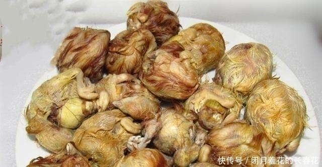 中国美食|5道最“残忍”的美食前两个能忍,最后一个忍不了