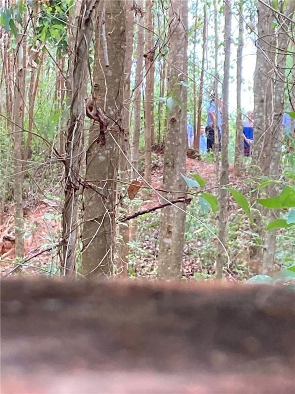 杀人|刑警带杀人潜逃27年的嫌疑人辨认案发现场，移交检察院