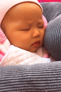 搞笑|搞笑GIF:我想知道这个是怎么开上去的?