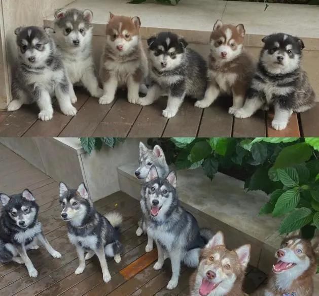 老公|她嫁百亿老公住8层豪宅,生了3个娃样子竟能保持30年不变