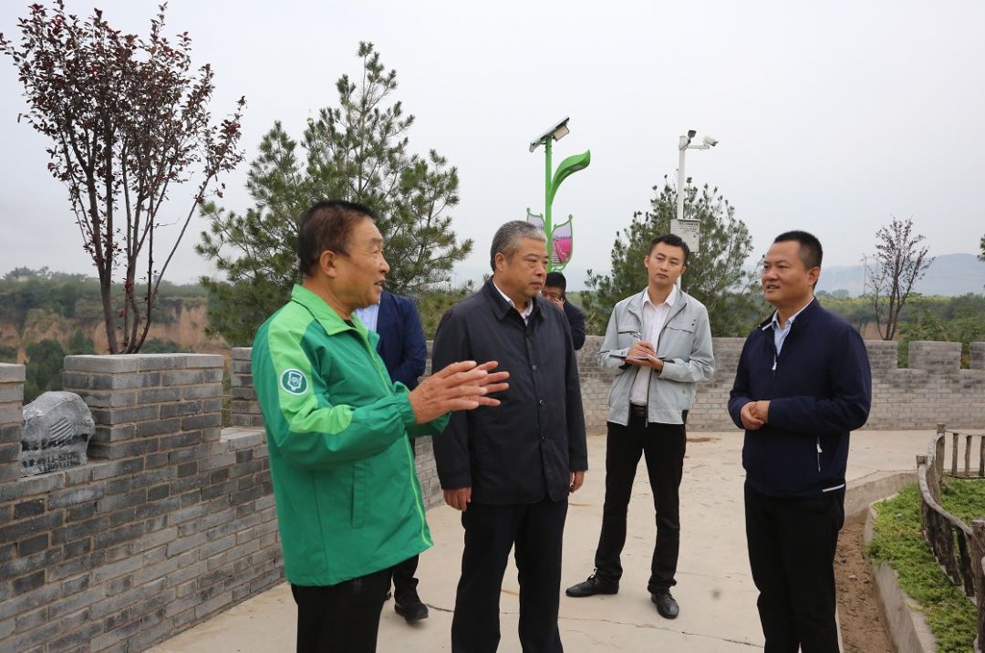 乡村|杨澎调研金城办乡村振兴产业发展情况（图）