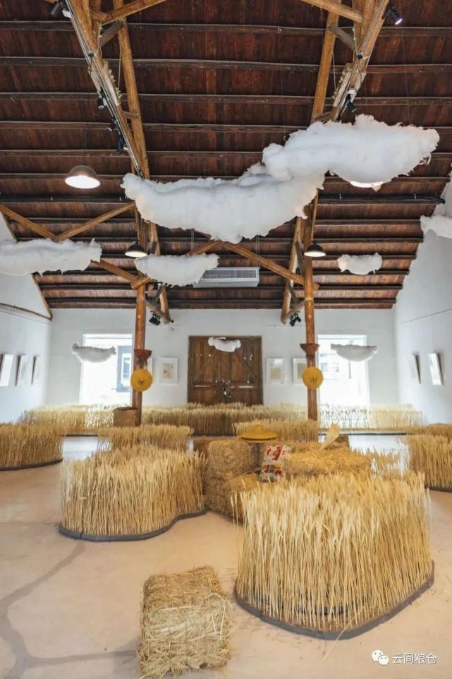  辰山植物园|好看！这才是松江夏天的正确打开方式