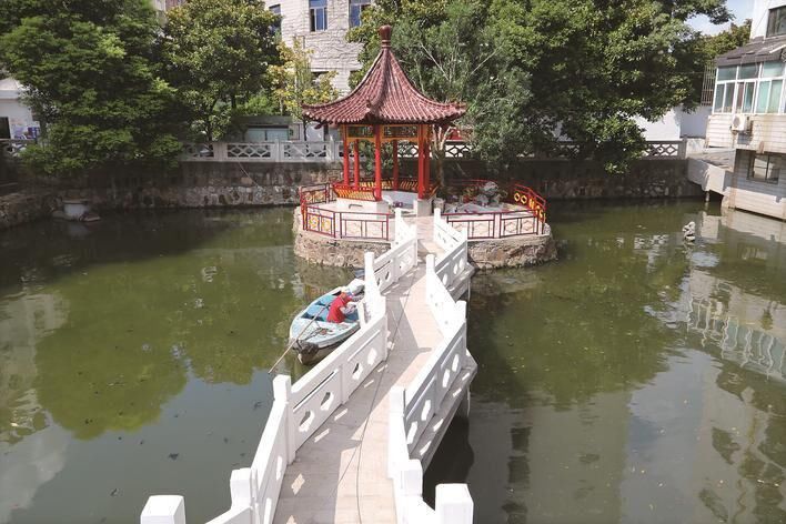 黄炳煜|300年前“雁宿芦洲”美景将再现