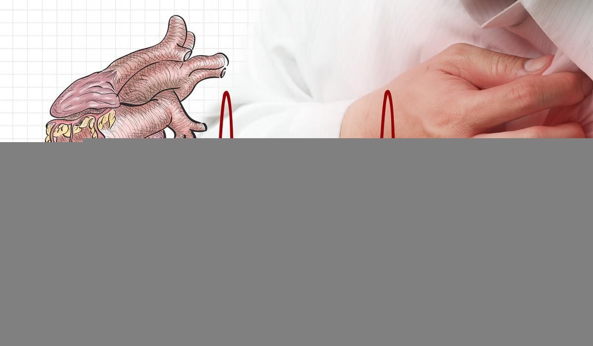 漫山遍野|心绞痛吗?漫山遍野的小根蒜就能解决