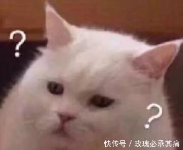  食物|南方人说: 北方的食物, 是世界上最大的骗子! ?