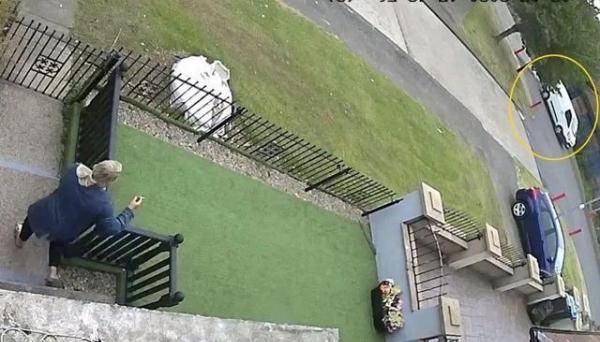  赤裸|男子听到家人尖叫声赤裸冲出门 看到眼前景象十分尴尬