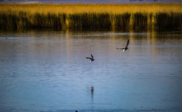  湖水|大柴旦：五彩谷天地雄奇之峻，翡翠湖水云婉约之华，柴达木探秘4