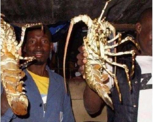 稀罕|此物是中国人眼中的奢侈品,在非洲却非常便宜,当地人压根不稀罕