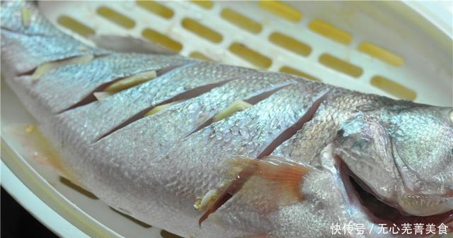 鲈鱼|他是“忽略”多的鱼,全身是宝,比鲫鱼营养丰富,8元1斤