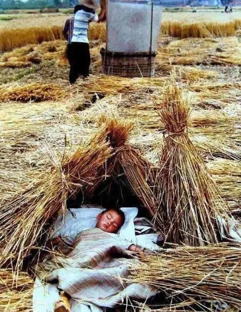 深有感触|70、80年代农村缩影，深有感触，回忆满满