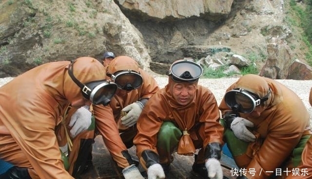 生气|活了6亿年,身娇肉贵,一生气就化水,却还是逃不过中国吃货的嘴