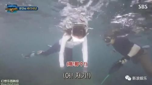  资格去采|每次都是艺人背锅，实惨！