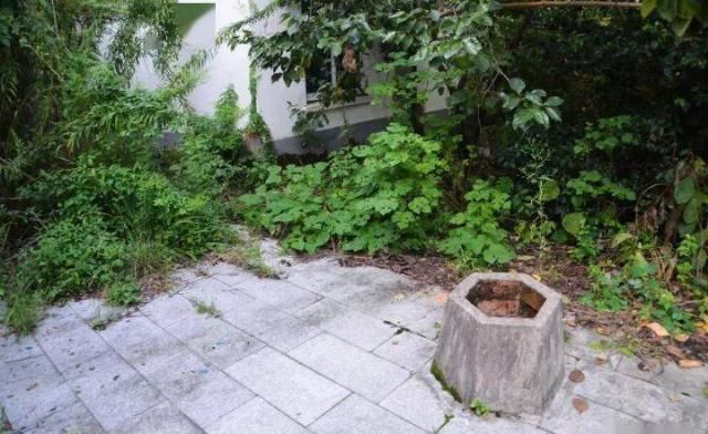 风林|风林：被盗的黄丕烈墓