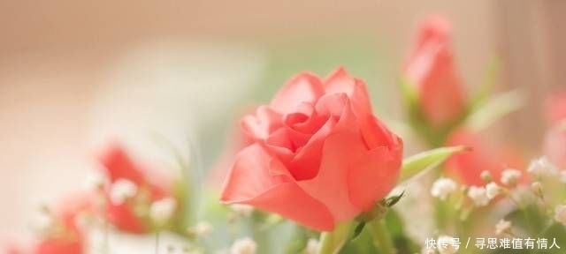 受益|简单朴素的名言,悲痛欲绝,使人终生受益