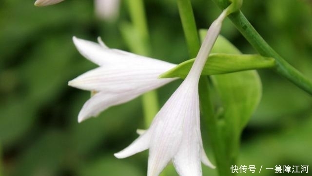  星座|十二星座的“记仇”期限是多久，那些不能得罪的人，你都清楚吗？