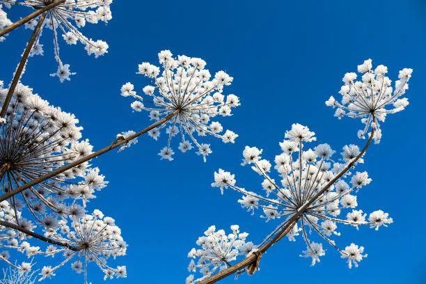 生活|《读书是一辈子的事》它帮我们认识自己,认识世界,打理生活