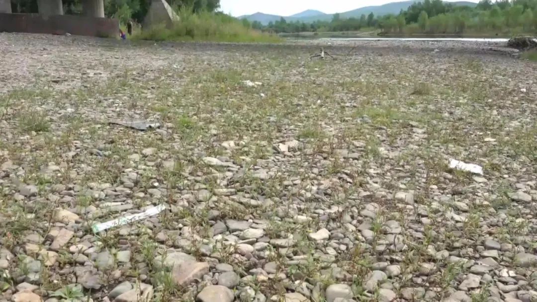 清清|清清河水悠悠，游人走垃圾留