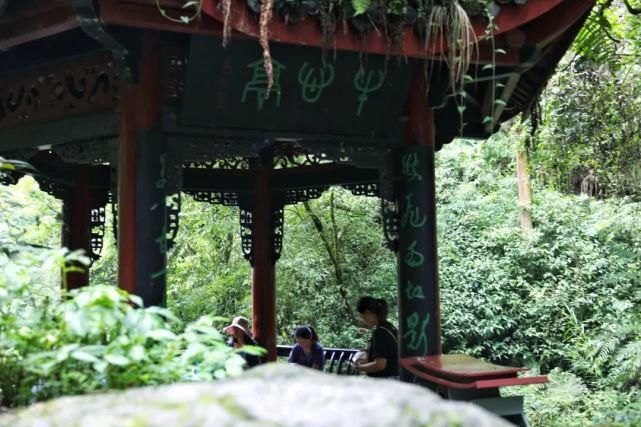  去一趟|避暑王者峨眉山，是时候去一趟了！