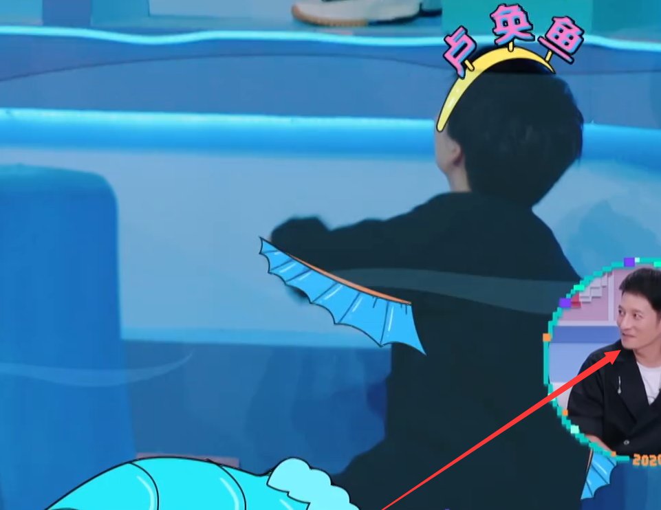  出场|《快乐大本营》选主持变“相亲会”，金子涵刚出场，男生就抢着表白哦