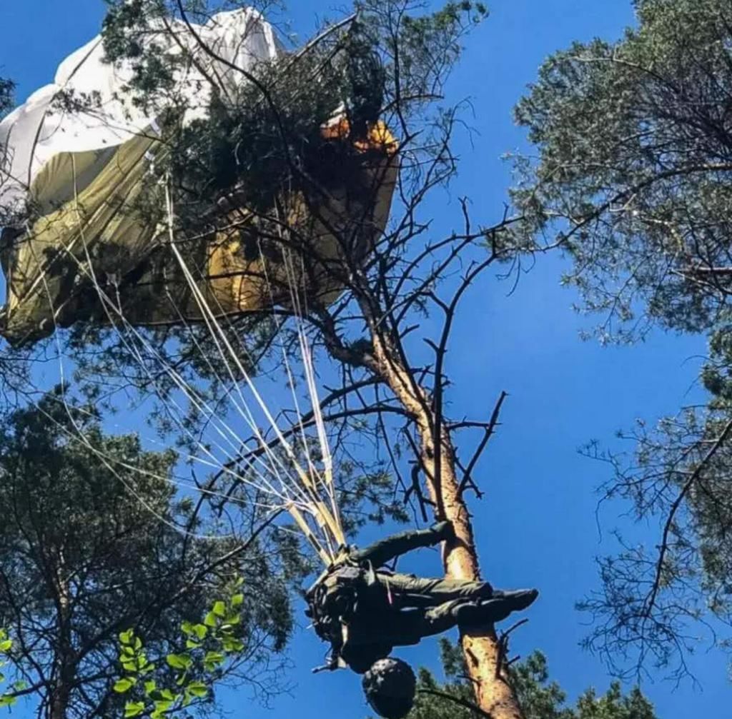 名飞行员|猎户发现飞行员遗骸，与大树“合二为一”，死亡已有70多年