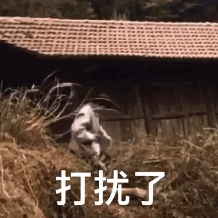 网红圈|请这些旅游景点立刻退出网红圈