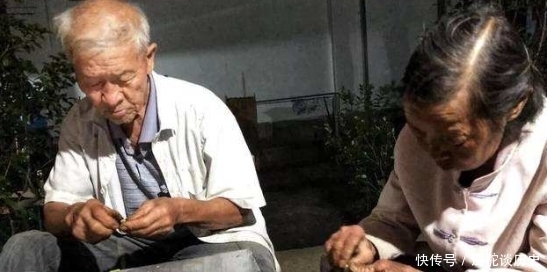 我国|原产自我国，果实在古代是贡品，儿时用它煮糖水喝，如今100元1斤