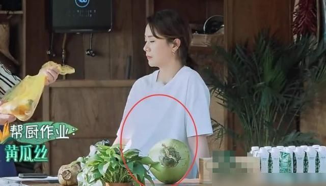  原因|《向往的生活》爆火四季，原因何在？只要有他在就不可能不火