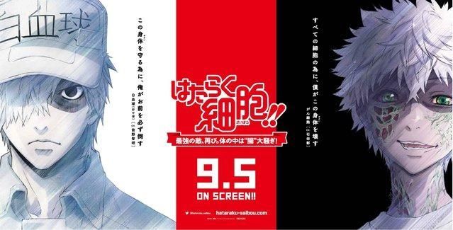  特别|特别上映版「工作细胞」公开新宣传图 9月5日上映