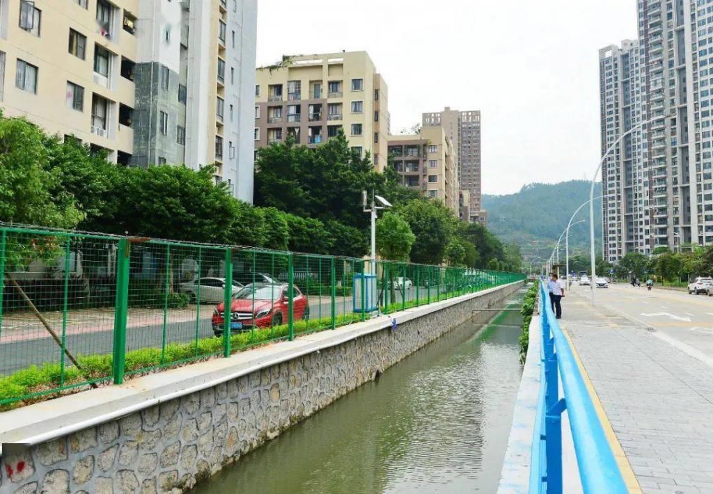 南区|“双节”不打烊！南区奋力打赢黑臭水体整治攻坚战