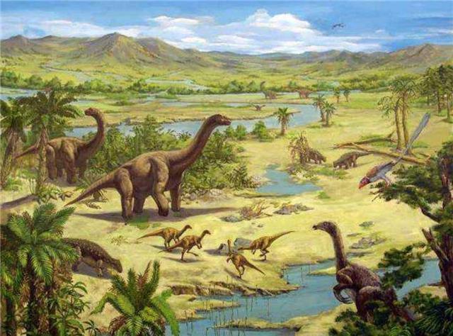  哺乳动物|地球上原本没有人，那第一个人是怎么出现的