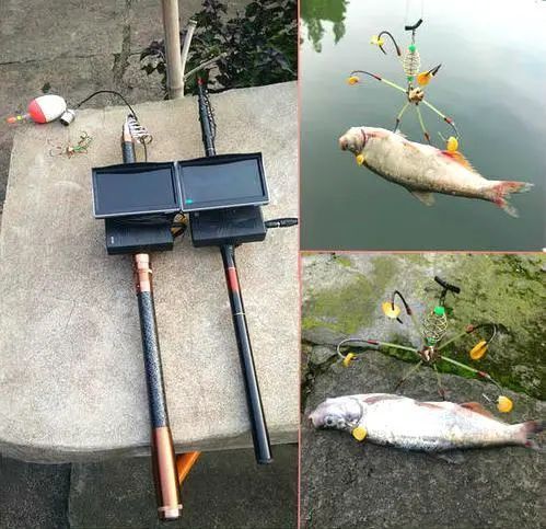 渔业资源|四川首例丨利用可视锚鱼器捕鱼，泸州男子被判刑