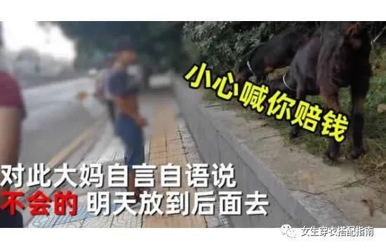 画面|大妈闹市放羊啃食绿化带 现场画面曝光路人提醒反被怼