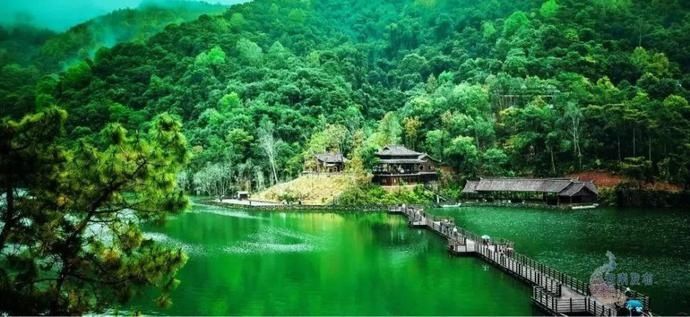 普洱|一天一点普洱穿行千年茶马古道,尽览五朝普洱风云