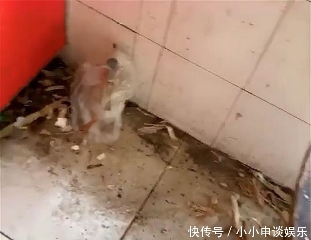 婆婆|宝妈晒婆婆家的厨房，网友：不讲卫生的婆婆不适合带孩子