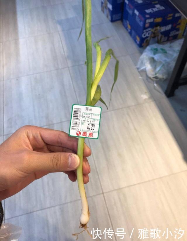 南方人|看南方人买菜的日常,还以为是段子呢,哈哈哈哈……