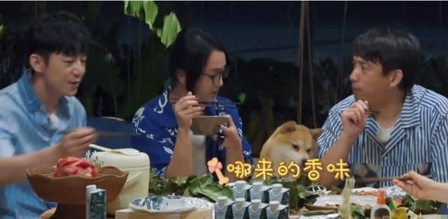 向往|《向往4》黄磊做菜遭吐槽?当食物关掉滤镜,网友:别再摆拍了!